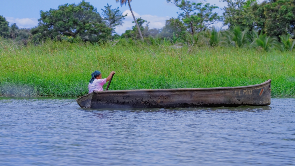 25 - Tortuguero NP (03).jpg